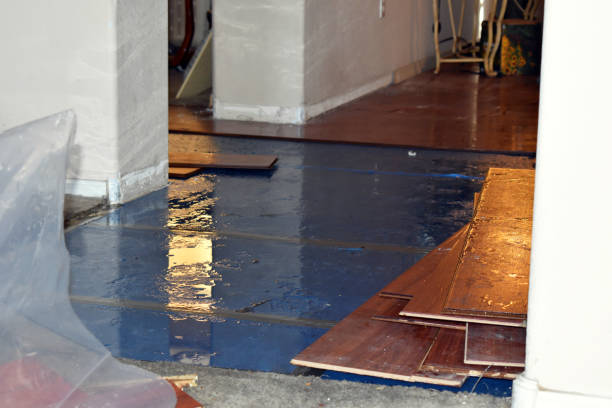Professional Burst Pipe Water Damage technician working in Yoder, CO